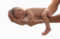 Everleaf Photography   Maternity and Newborn Portraiture 1076642 Image 1